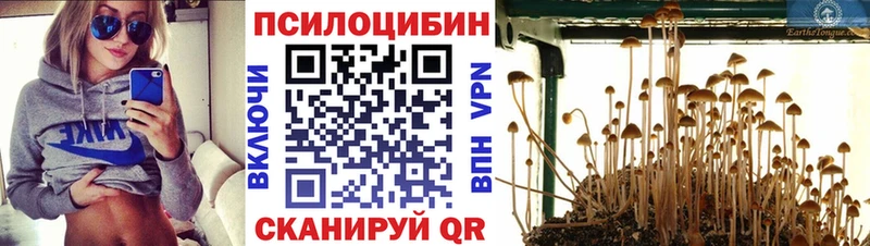 Псилоцибиновые грибы прущие грибы Карасук