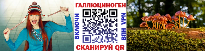 Купить закладки  Карасук  Галлюциногенные грибы прущие грибы 